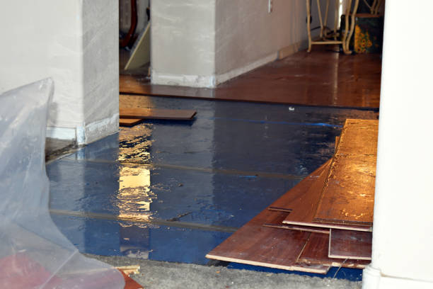 Professional Basement Flood Cleanup technician working in Atlas, MI